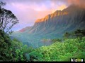 Kizoa Video Maker: Aloha Friday - No work till monday